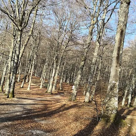 Il Sasso