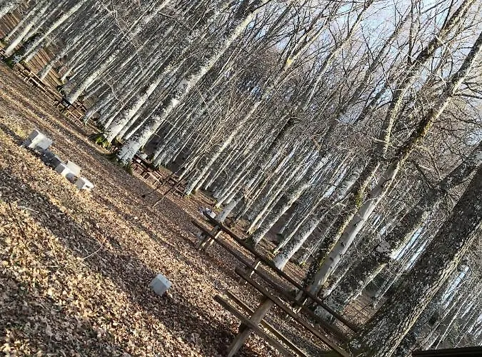 Il Sasso Nocleg ze śniadaniem Sasso di Castalda