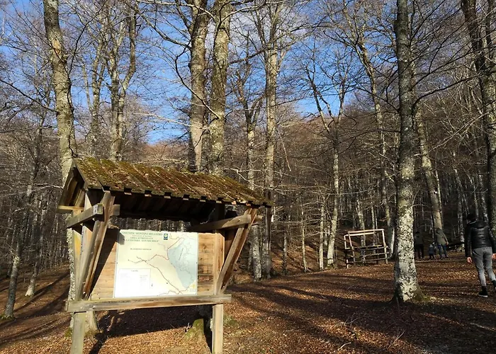 Bed and breakfast Il Sasso 3*